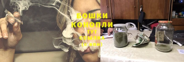 Альфа ПВП Лиски