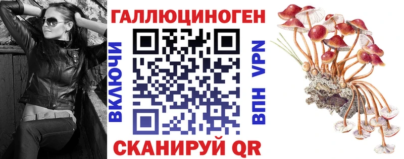 где можно купить наркотик  Югорск  Галлюциногенные грибы Psilocybe 